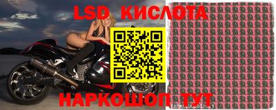 прущие крисы Обь