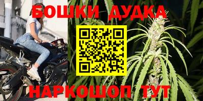 прущие крисы Обь