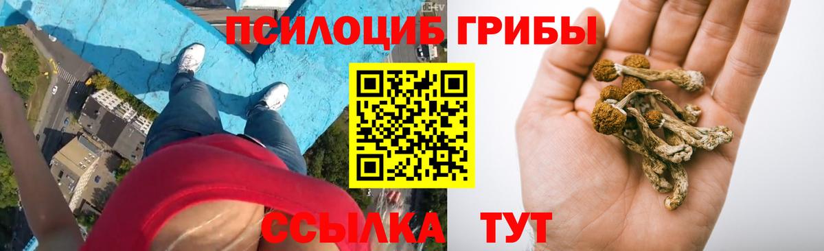 Псилоцибиновые грибы GOLDEN TEACHER  Вход с VPN  Саранск  Галлюциногенные грибы мухоморы 